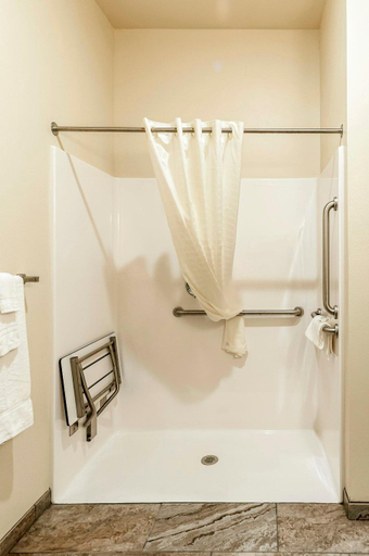 Bathroom, Cobblestone Hotel & Suites - Appleton International Airport, Winnebago