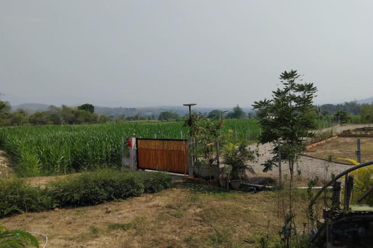 Others 4, Khuang Na Farmview, Mae Chaem