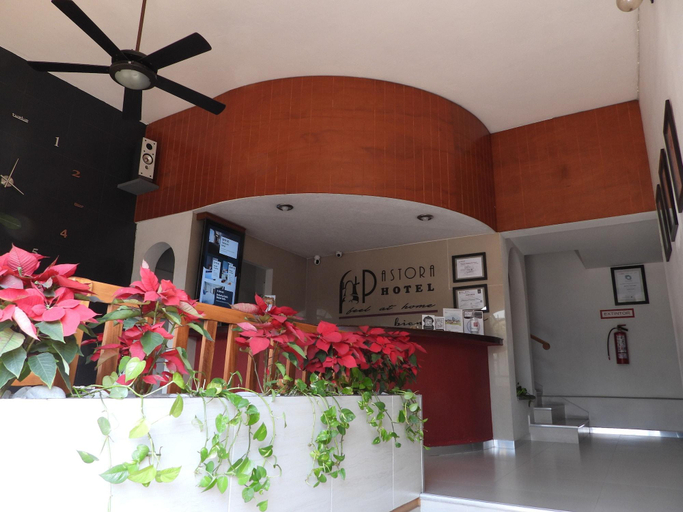 Exterior & Views, HOTEL PASTORA, Ixtaczoquitlán