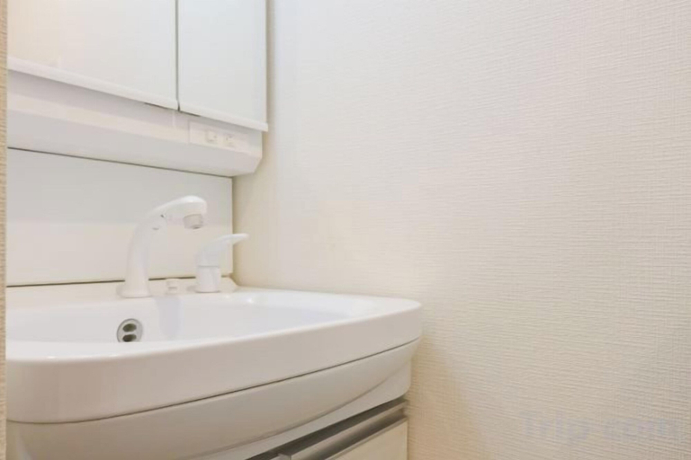 Bathroom 2, Oyama Pantheon, Itabashi