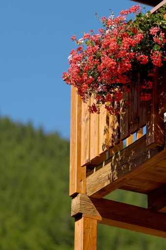 Exterior & Views 2, Park Hotel Saas Fee, Visp