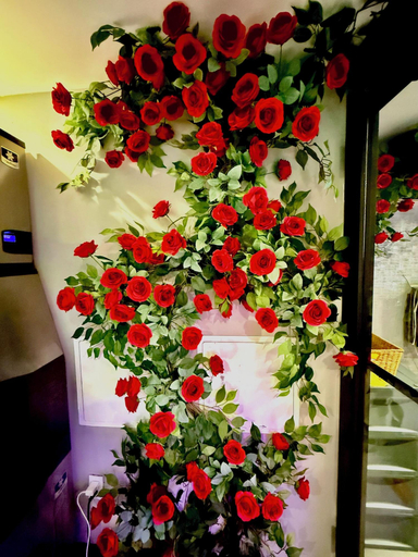 Public Area 2, ROSE HOTEL BRONX, New York