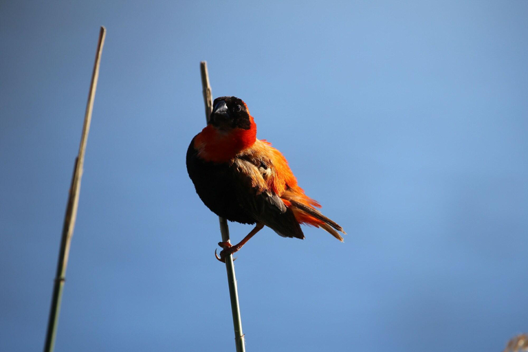 Others 4, Fairview Manor, Waterberg