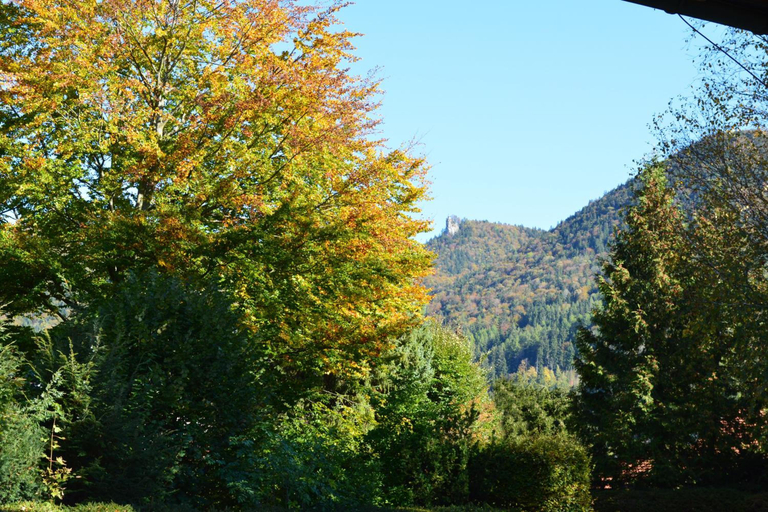 Exterior & Views 2, Hotel Garni Sonnenhof, Miesbach