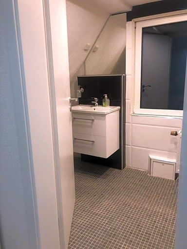 Bathroom 3, Dionysos Traube, Rottweil