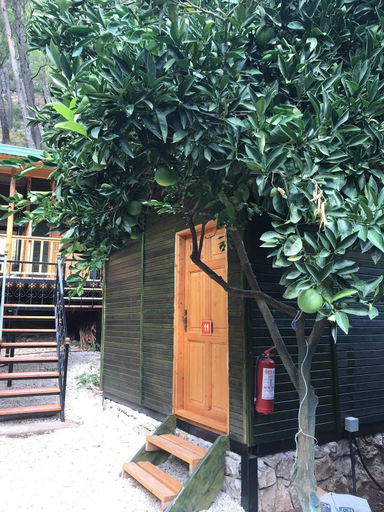 Others 5, Olympos Tatilya Pansiyon, Kemer