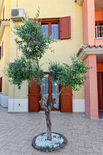 General view 1, Residence La Corte Di Anastasia, Nuoro