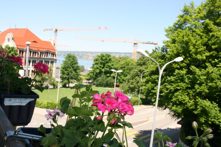 General view 3, Hotel Glv Rnisch Hof, Horgen