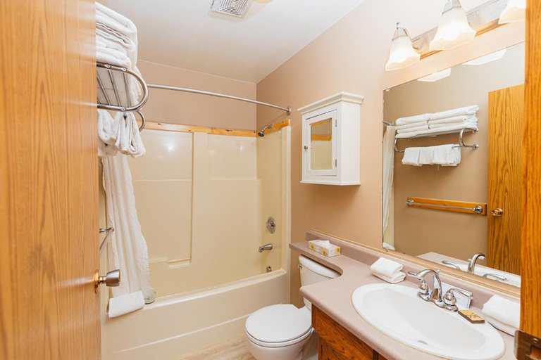 Bathroom 4, Overlander Mountain Lodge, Division No. 14
