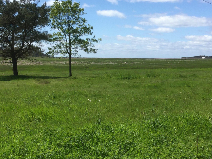 General view 3, Pilegaarden, Læsø