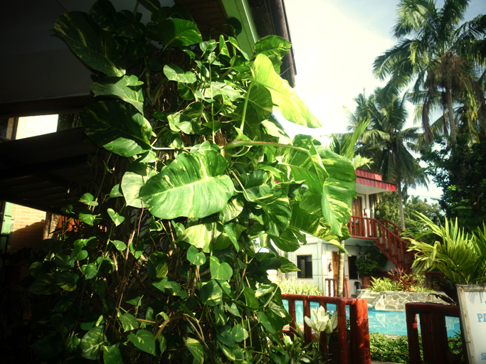 General view 1, Stefanie Grace Inn, Loboc
