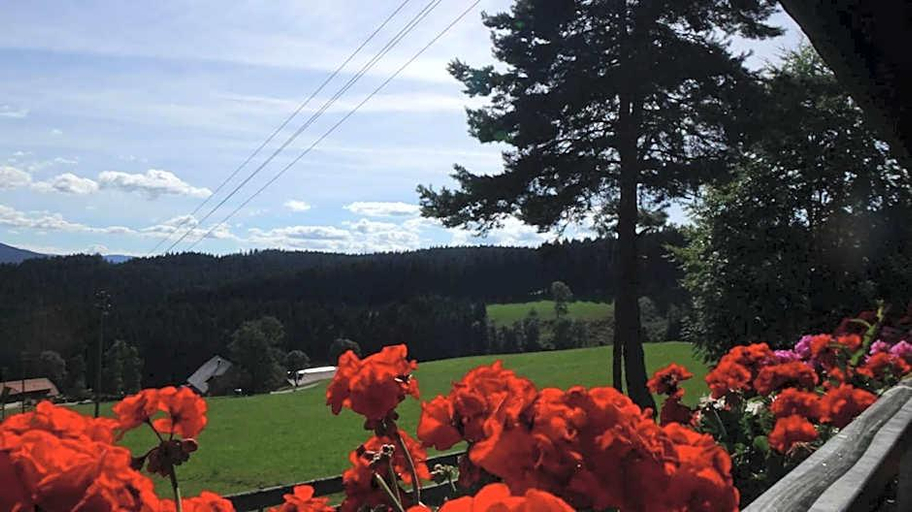 Exterior & Views 2, Schwarzwaldgasthaus Salenhof, Breisgau-Hochschwarzwald