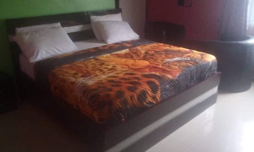 Room 4, Intelligent Hotel And Suites, Obio/Akp