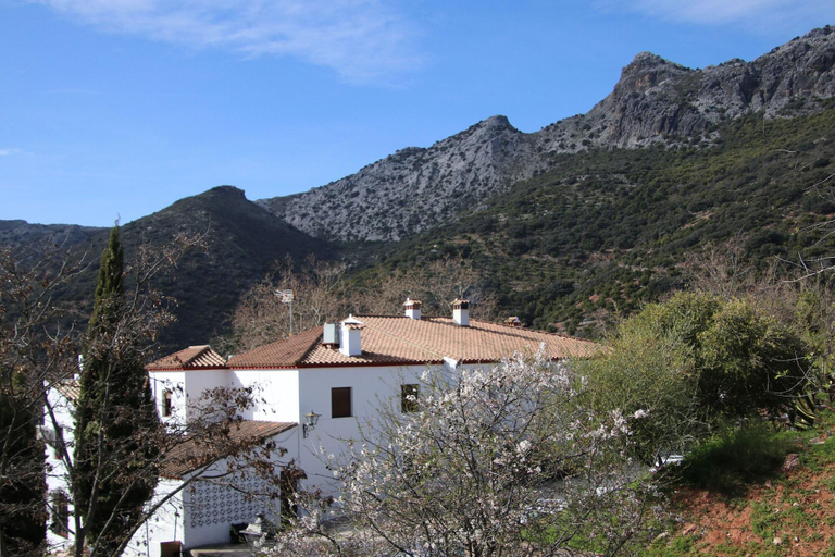 Exterior & Views 2, Hotel Rural & Restaurante Las Camaretas, Málaga