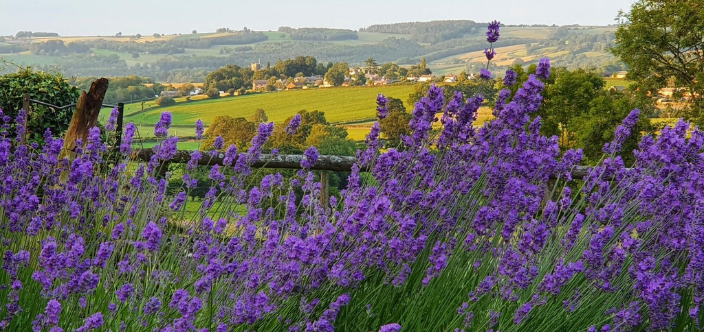 General view 4, The Rock Self Catering Holiday Accommodation, Gloucestershire