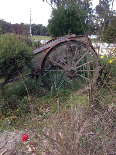 General view 5, Snowy River Lodge Motel, E. Gippsland - Orbost
