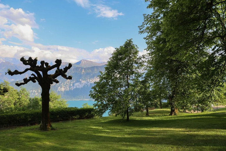 Exterior & Views 1, Beatenberg Resort & Spa, Interlaken
