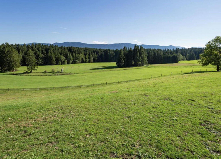 Exterior & Views 1, Log Cabin In Bavaria With Covered Terrace, Weilheim-Schongau