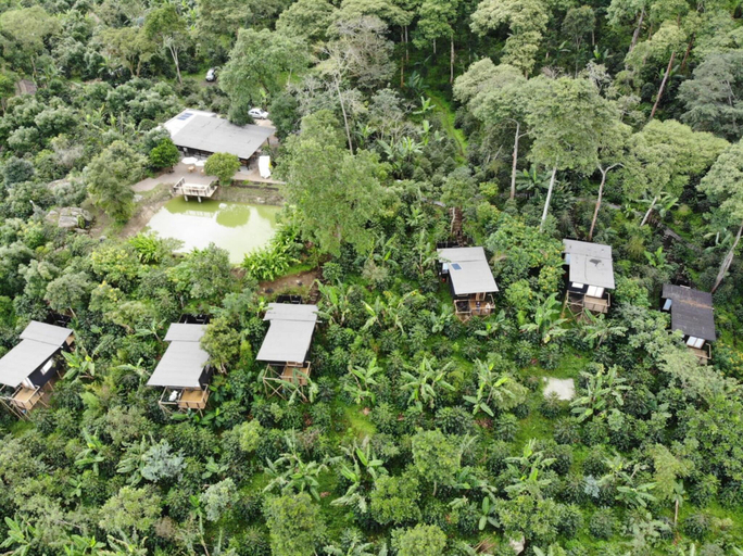 Public Area 4, Hotel La Palma y El Tucan - Coffee & Nature, Zipacón