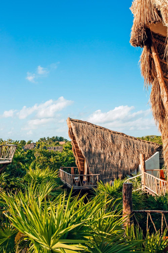 General view 5, Ikal Tulum Hotel, Cozumel