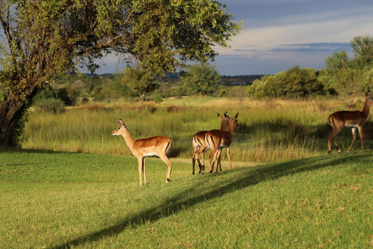 Others 4, Fairview Manor, Waterberg