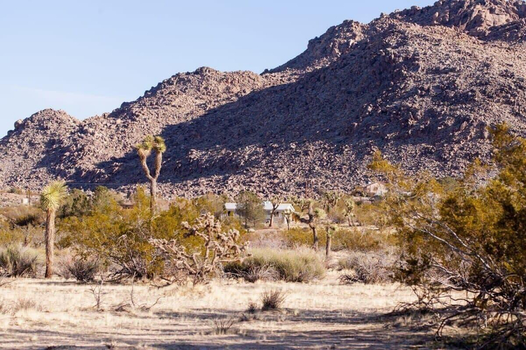 General view 3, @ Marbella Lane - 10 Acres Oasis Desert Retreat!, San Bernardino