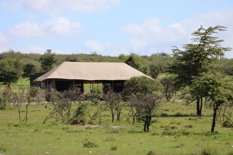 Public Area 3, Mtito Safari Camp, Narok West