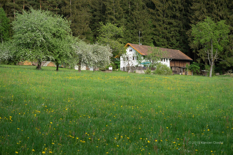 General view 2, Haus Am Waldesrand, Regen