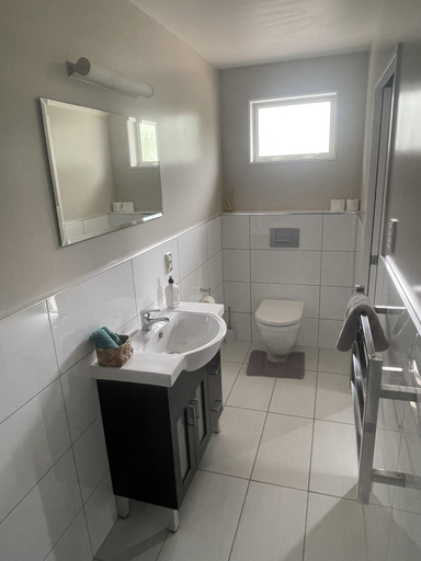 Bathroom 4, Springfield Motel, Selwyn