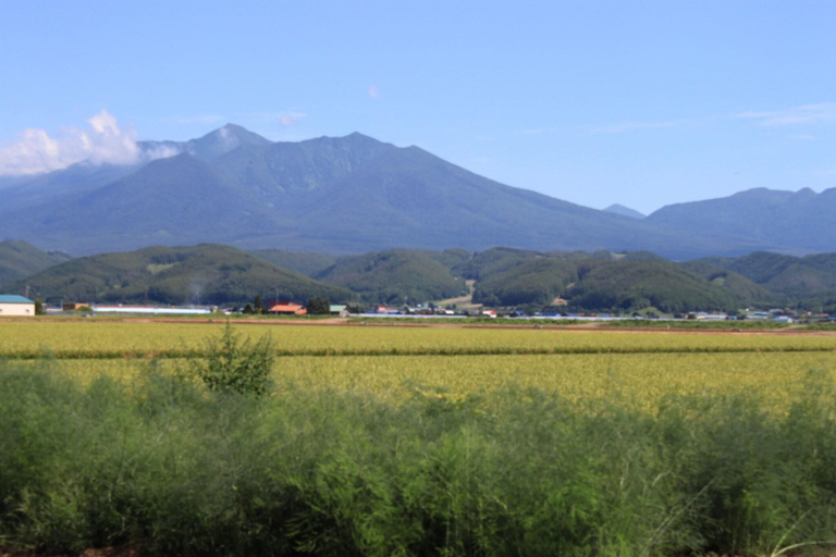 Exterior & Views 5, Country Cottage Wakiaiai, Nakafurano