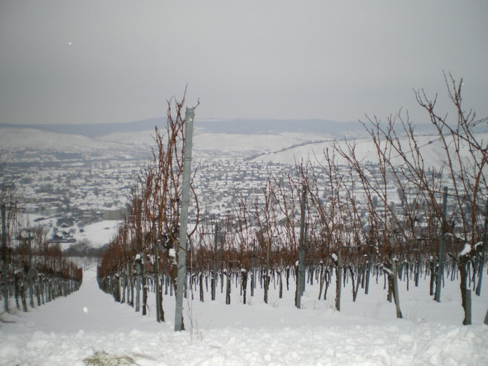 Exterior & Views 2, Hotel Landgut Burg, Rems-Murr-Kreis
