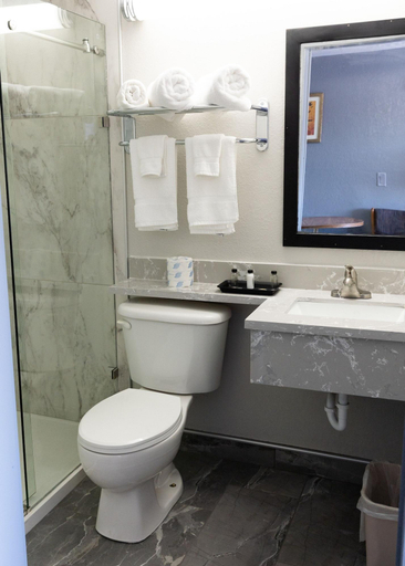 Bathroom 5, Econo Inn, Washakie