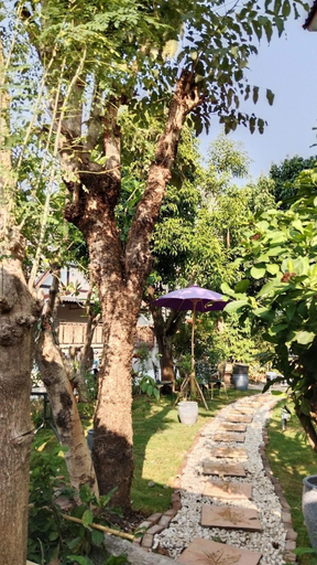 Exterior & Views 2, P.S. Place, Muang Chiang Mai