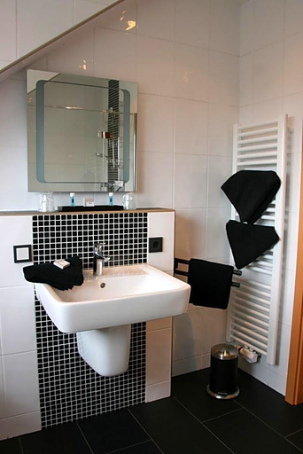 Bathroom 4, Hotel Zur Wasserburg, Rhein-Erft-Kreis