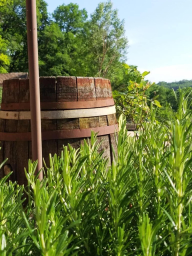 Exterior & Views, La Borieta, Tarn-et-Garonne