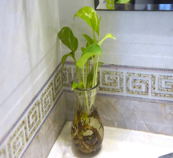 Bathroom, Sao Hotel Nguyen Ngoc Vu, Cầu Giấy
