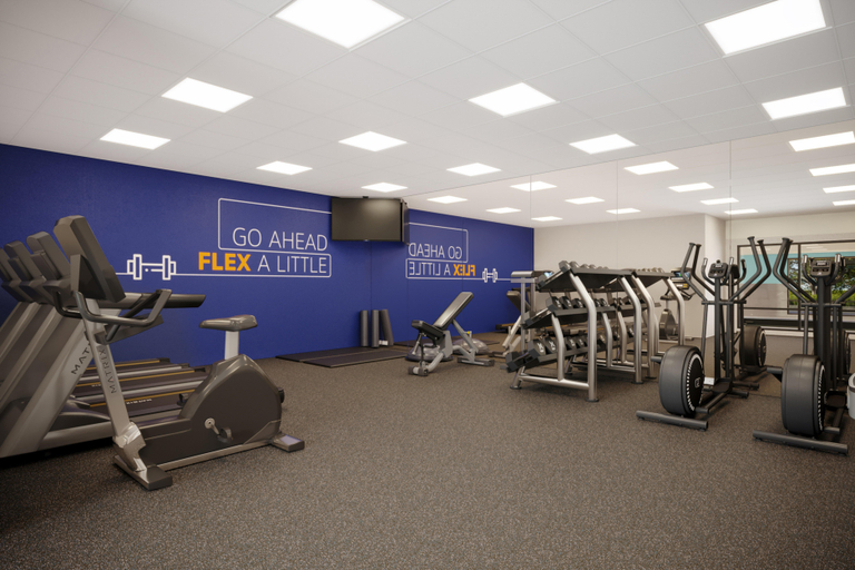 Sports and Entertainment 3, Holiday Inn Exp & Sts DFW Airport Sthwst - Euless, Tarrant