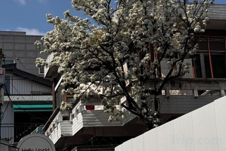4, SeoulPapa GuestHouse - Shower&Sleep, Mapo