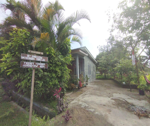 General view