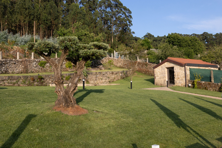Pool 5, Pardavila 57 Slow Hotel, Pontevedra