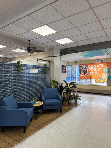 Public Area 2, Central YMCA Residences, Honolulu