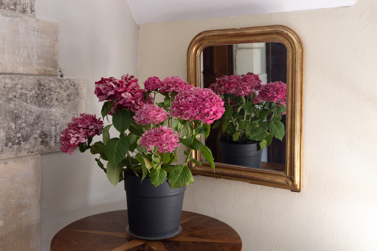 Lobby 5, Le Manoir D'hautegente, Dordogne