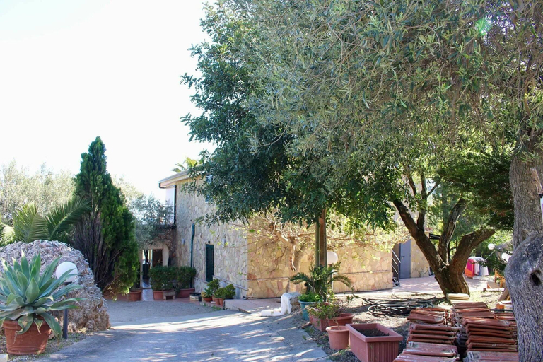 General view 1, Casa Siciliana Altarbiah, Palermo