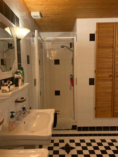 Bathroom 3, B&b De Kaagse Koe, Haarlemmermeer