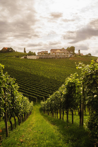 Exterior & Views 2, Weinrefugium Brolli, Leibnitz