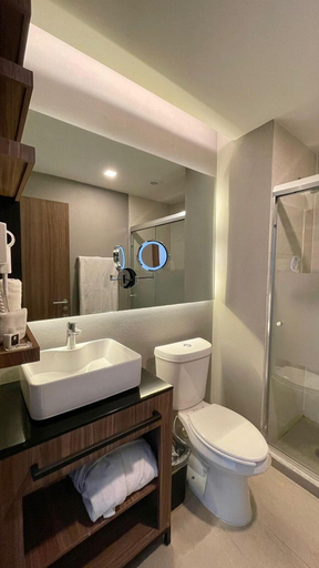 Bathroom 5, Hotel Casino Grand Vía Dorada, San Agustín Tlaxiaca
