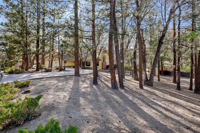 Exterior & Views 2, Bearfoot Lodge #2030, San Bernardino