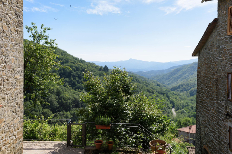 Exterior & Views 1, Borgo Dei Corsi Holiday House, Arezzo