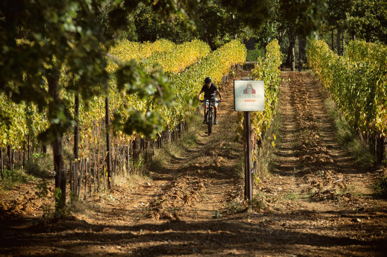 Sports and Entertainment 5, Villa Le Prata Winery Accommodation Adults Only, Siena