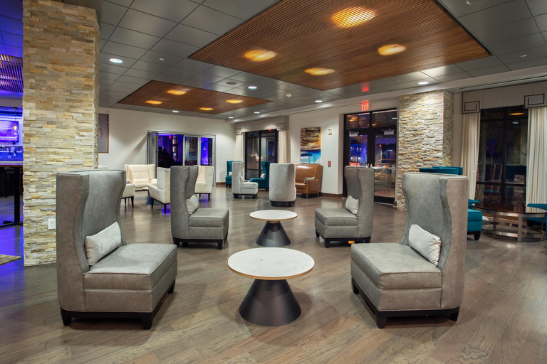 Public Area, Wyndham Garden Buffalo Williamsville, Erie